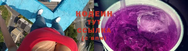 ПСИЛОЦИБИНОВЫЕ ГРИБЫ Кулебаки