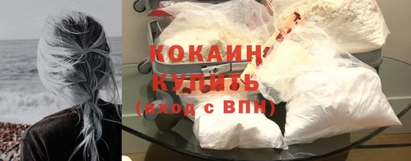 ПСИЛОЦИБИНОВЫЕ ГРИБЫ Кулебаки