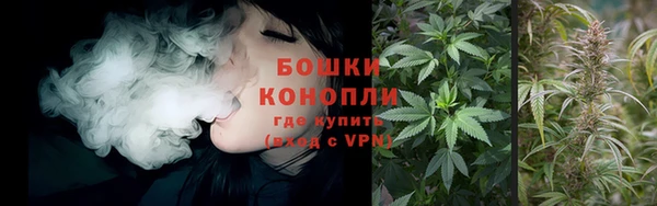 ПСИЛОЦИБИНОВЫЕ ГРИБЫ Кулебаки