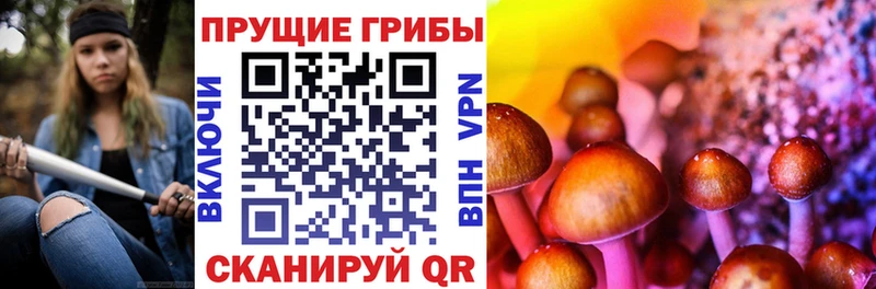 Псилоцибиновые грибы ЛСД Купить закладки Михайловка
